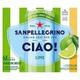 PUBLIX SANPELLEGRINO CIAO FLAVORED SPARKLING WATER